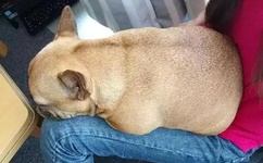 麻豆精品偷拍人妻在线网址